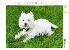 Calvendo Süßer West Highland White Terrier liegt im Gras