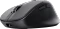Trust Zevo Ultra-Fast Rechargeable Multi-Wireless Mouse schwarz, USB/Bluetooth Vorschaubild
