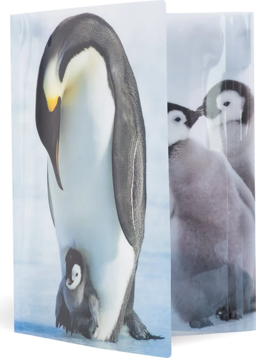 Herma Glossy Tiere Sammelmappe, A4, Pinguine
