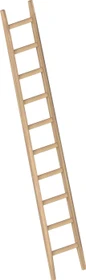Layher Topic 1036 Holz Anlegeleiter, 10 Stufen