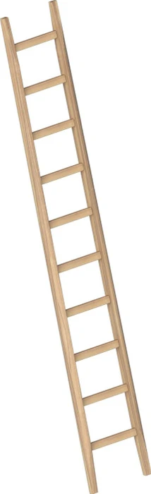 Layher Topic 1036 Holz Anlegeleiter, 10 Stufen