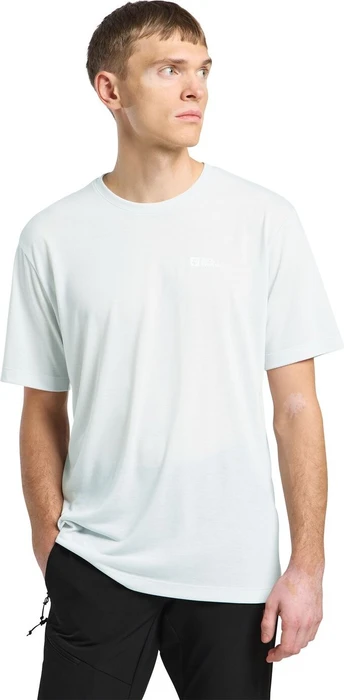 Jack Wolfskin Vonnan Funktionsshirt kurzarm cool grey (Herren)