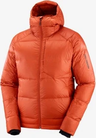 Salomon Outline Hooded Funktionsjacke bossa nova (Herren)