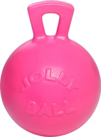 Horsemens Pride Jolly Ball 410 ros mit Kaugummiduft, 10"