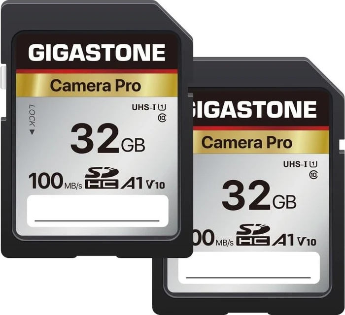 Gigastone Camera Pro R100 32GB, UHS-I U3, A1, Class 10, 2er-Pack