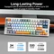 Epomaker RT85 Wireless, Gray White, LEDs RGB, hot-swap, Epomaker Creamy Jade, USB/Bluetooth, US Vorschaubild