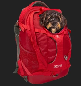 Kurgo G-Train Hunderucksack, schwarz