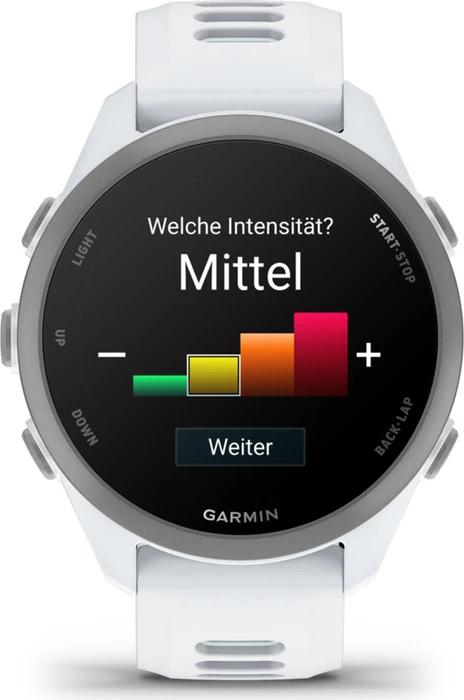 Garmin Forerunner 170 whitestone/whitestone-cloud blue