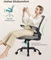 Songmics Bürostuhl ergonomisch mit Amrlehnen, taubengrau Vorschaubild