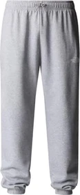 The North Face Simple Dome Trainingshose lang deep nori (Herren)