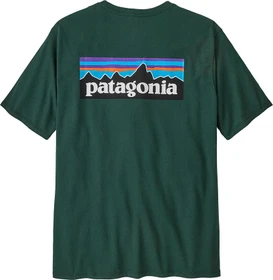 Patagonia P-6 Logo Responsibili-Tee T-Shirt kurzarm cascade green (Herren)