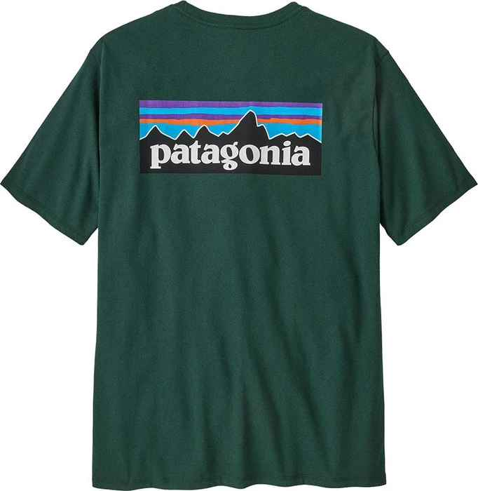 Patagonia P-6 Logo Responsibili-Tee T-Shirt kurzarm cascade green (Herren)