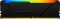 Kingston FURY Beast RGB UDIMM 32GB, DDR4-3600, CL18-22-22, 2RX8 Vorschaubild