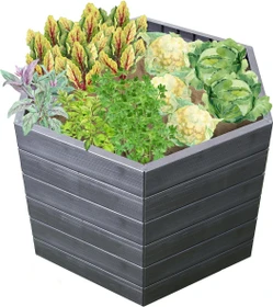 Garantia Ergo L75 Hochbeet 110cm wood