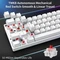 Dierya DK61SE, 60%, weiß, LEDs blau, RED Switches, USB, US Vorschaubild