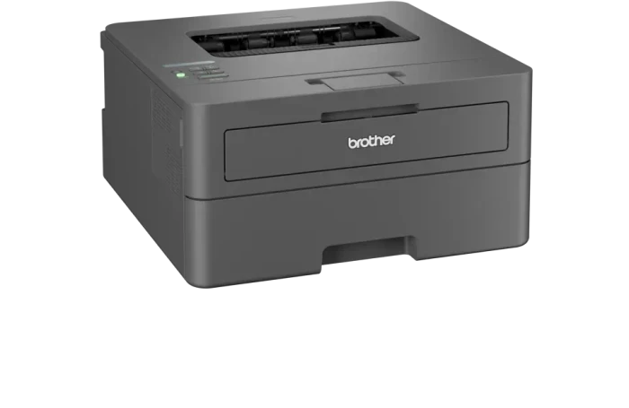 Brother HL-L2445DW, Laser, einfarbig