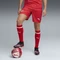 Puma FIFA WM 2026 Schweiz Heimshorts (Herren) Vorschaubild
