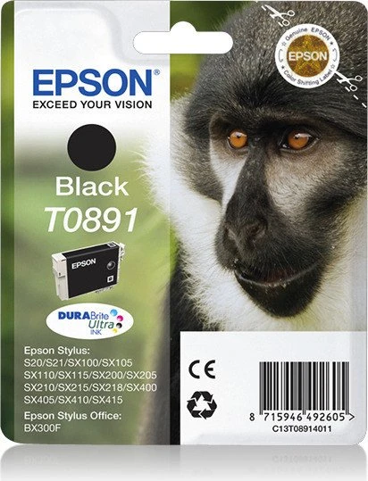 Epson Tinte T089