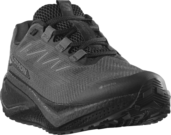 Salomon Aero Blaze 3 Grvl GTX black/asphalt (Herren)