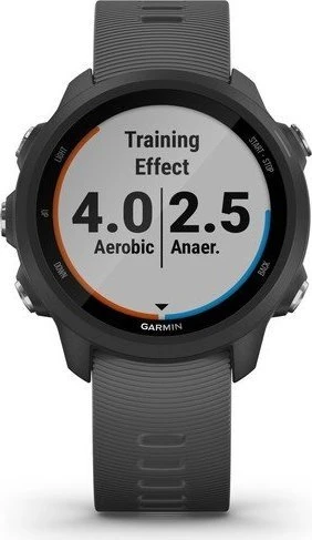 Garmin Forerunner 245 grau