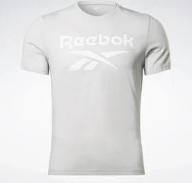 Reebok Workout Ready Supremium Graphic Funktionsshirt kurzarm pure grey (Herren)