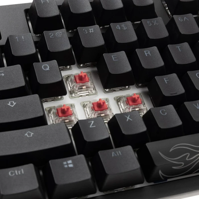 Ducky Shine 7 PBT, LEDs RGB, Blackout Edition, schwarz, MX SILENT RGB RED, USB, US