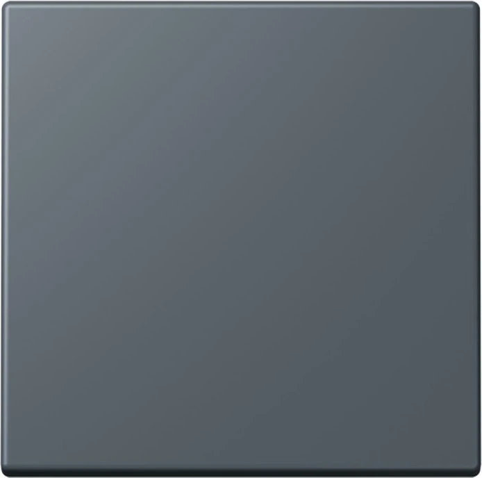Jung Wippe 1-fach, gris foncé 59