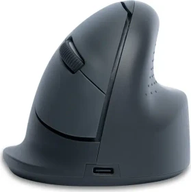 R-Go HE Basic Mouse Vertikale kabellose Maus mittel, grau, Bluetooth (RGOHEBAMRWL)