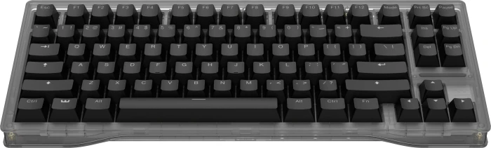 Wooting 80HE, Ghost, grau/transluzent, LEDs RGB, Lekker V2 L60 Linear, USB, US