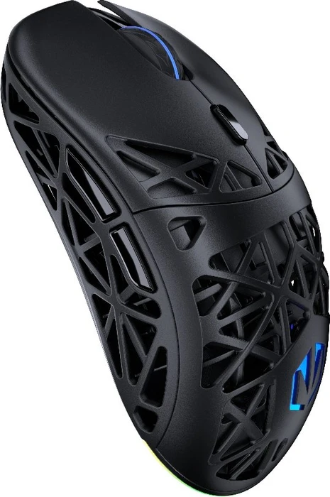 Endorfy LIV Plus Wireless, schwarz, USB/Bluetooth