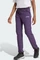 adidas TERREX Xperior Hose (Damen) Vorschaubild