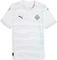 Puma UEFA EURO 2025 Island Frauenteam Trikot Vorschaubild