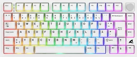 Sharkoon Skiller SGK55W, weiß, LEDs RGB, hot-swap, Sharkoon Linear, USB, DE