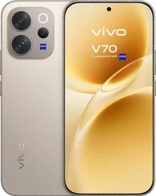 Vivo V70 (6500mAh) 256GB alpine gray