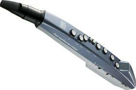 Roland Aerophone mini