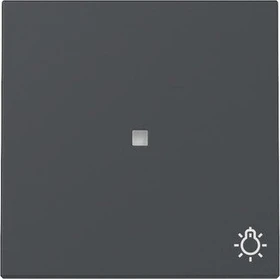 Gira Wippe mit Kontrollfenster und Symbol Licht, anthrazit