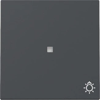 Gira Wippe mit Kontrollfenster und Symbol Licht, anthrazit
