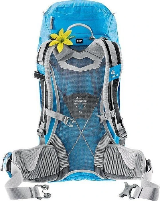 Deuter Futura 30 SL turquoise/arctic (Damen)