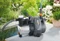 Gardena 6000/6 Inox Elektro-Gartenpumpe Vorschaubild