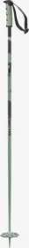 Salomon Steep Alpin Skistock iceberg green/black (Modell 2025/2026)