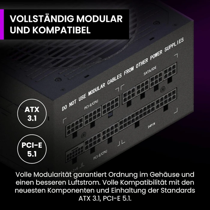 Preyon Eagle Power Gold schwarz 750W, ATX 3.1