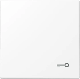 Jung Serie LS Wippe Symbol Tür, schneeweiß matt