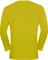 Jack Wolfskin Vonnan Funktionsshirt langarm chartreuse (Herren) Vorschaubild