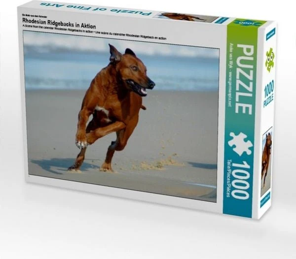 Calvendo Ein Motiv aus dem Kalender Rhodesian Ridgebacks in Aktion