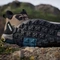 adidas Terrex Anylander Mid cardboard/blanch cargo/shadow olive (Herren) Vorschaubild