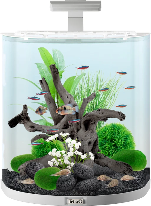 Tetra AquaArt LED Explorer Line Aquarium Komplettset 60l weiß