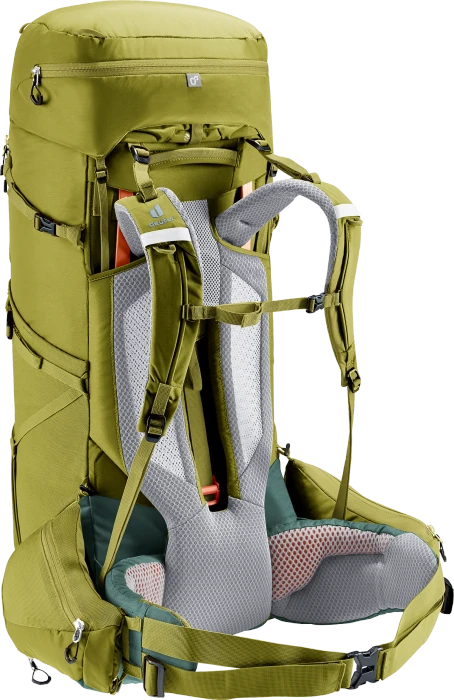 Deuter Aircontact Core 60+10 cactus/ivy
