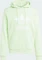 adidas Adicolor Classics Trefoil Hoodie semi green spark (Herren) Vorschaubild
