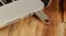 Kingston DataTraveler SE9 G2 128GB, USB-A, USB 3.2 Gen 1×1 Vorschaubild