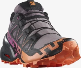 Salomon Speedcross 6 Gore-Tex moonscape/black/bird of paradise (Damen)